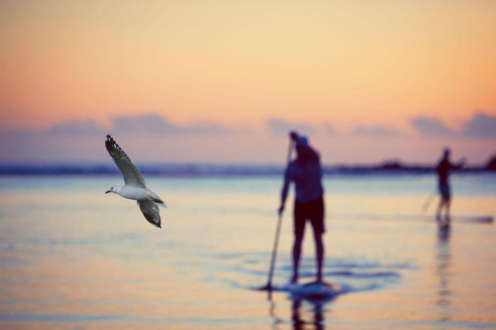 Kiama Shores Bagian luar foto