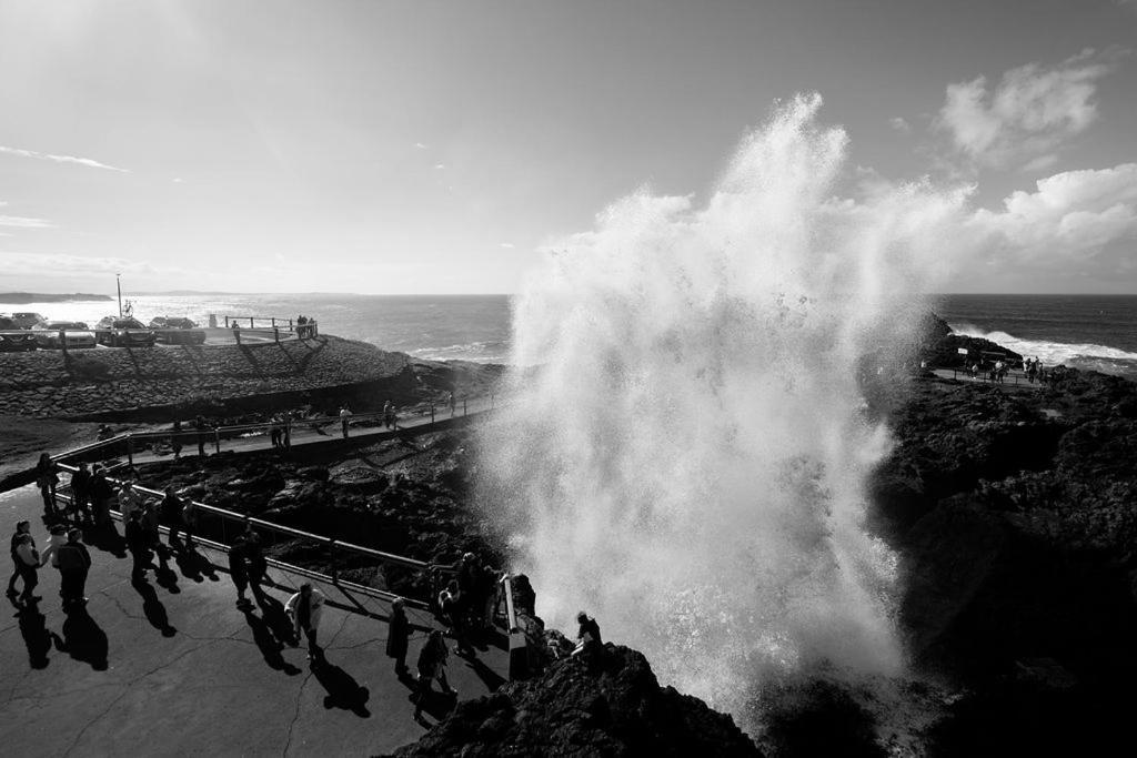 Kiama Shores Bagian luar foto